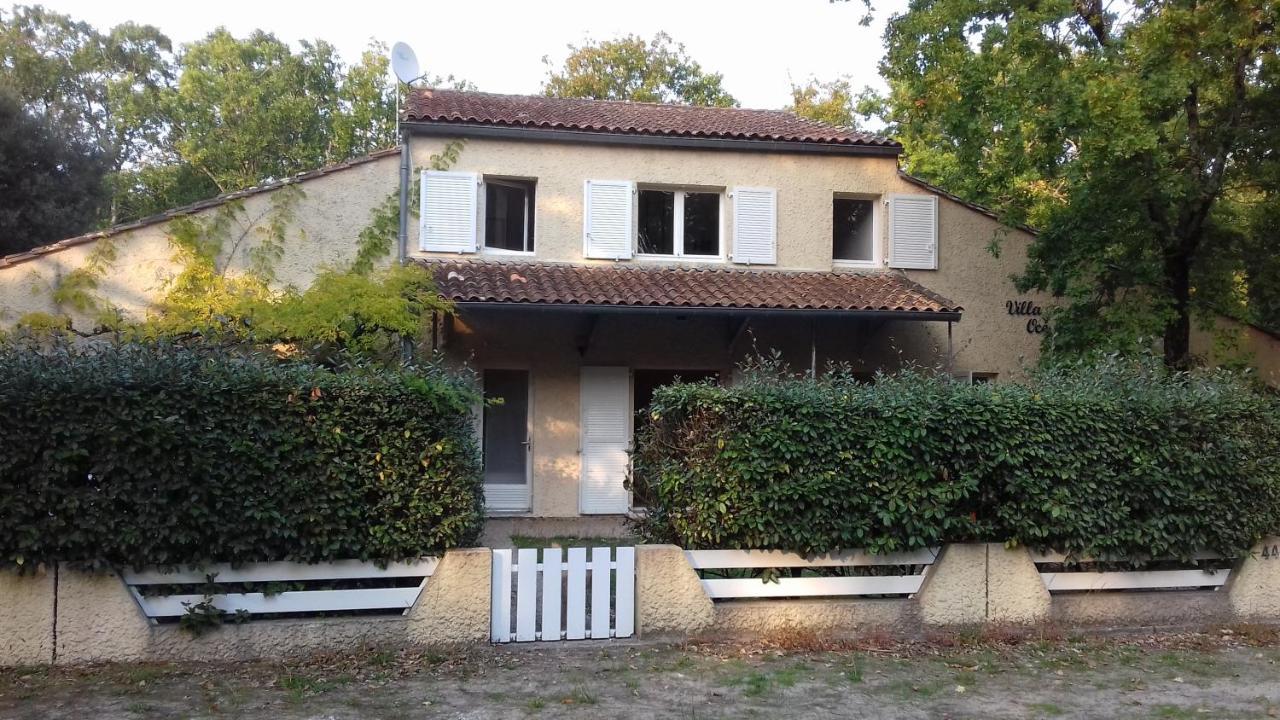 Appartement SOULAC SUR MER À 500 m de la plage N 5 Esterno foto